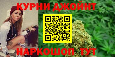 бошки Тверь